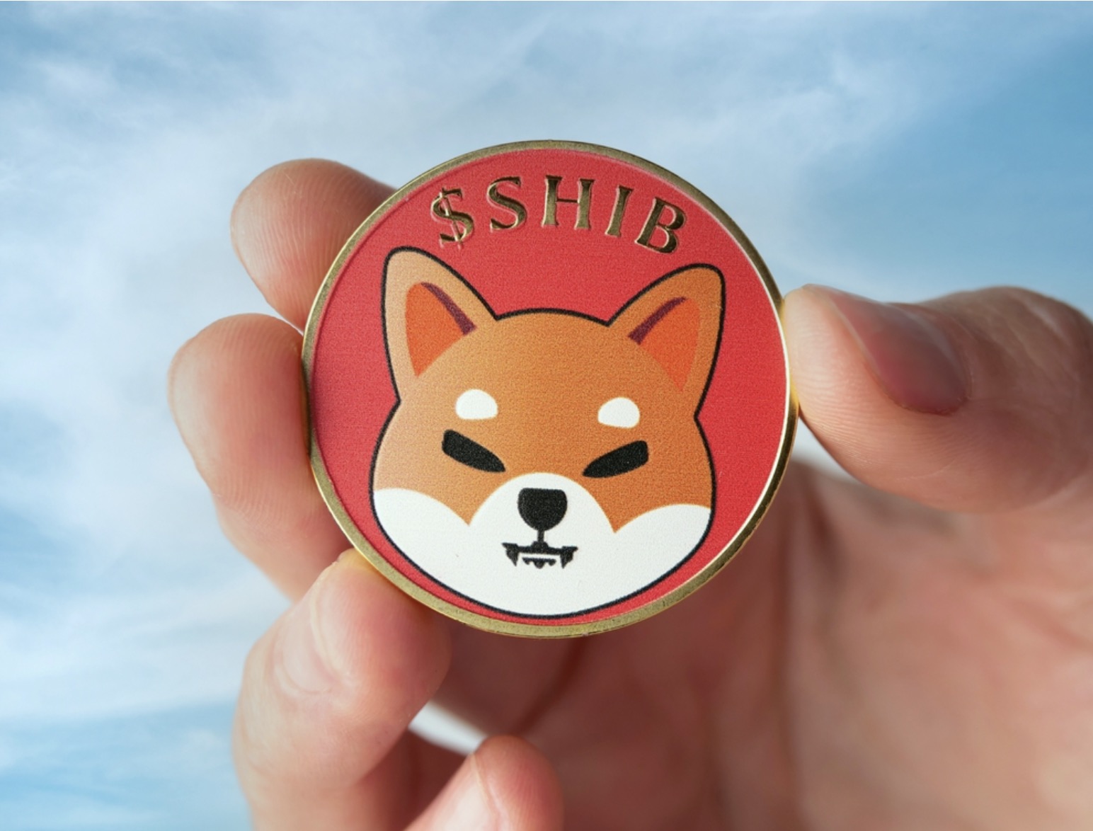 Investors bet on this memecoin to mirror shiba inu's historic surge